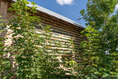 Evin duvarı tuğlalardan ve cam yeşil şişelerden yapılmıştır. Köy evi. Sıfır atık geri dönüşümü