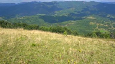 Dağlar Karpatlar 'a kadar uzanır. Tepeler, orman ve çayırlar sarı çimenler