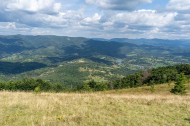 Dağlar Karpatlar 'a ait. Yazın tepe ormanı ve çayır vadisi