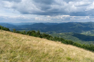 Dağlar Karpatlar 'a ait. Yazın Hill Ormanı ve Meadows Vadisi. Bulutlu gökyüzü