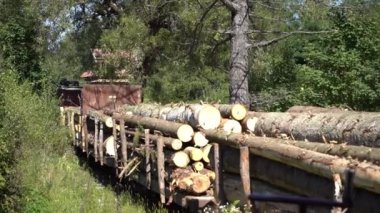 Tren lokomotifi kırık kereste taşır. Vagonlarda ağaç gövdeleri. Kütükler, yakacak odun. Dağda orman tahribatı