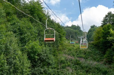 Yeşil ormandaki kablo yolu. Doğa seyahati