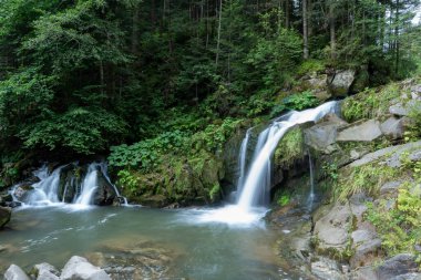 Ormandaki dağ şelalesi. Yeşil doğa. Göl suyu nehri