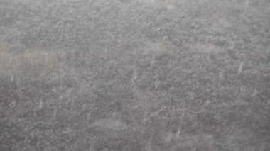 Kar yağıyordu. Kış karlı hava. Orman manzarasında şiddetli kar yağışı var. Kar yağışıName.