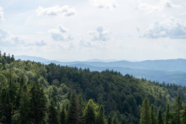 Dağlar Karpatlar 'a kadar uzanır. Tepeler, orman ve çayırlar. Yeşil vadi. Doğa