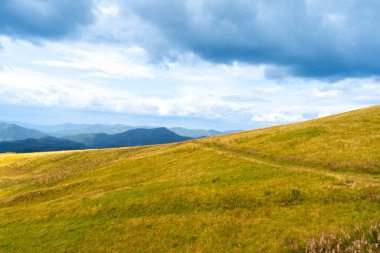 Dağlar Karpatlar 'a kadar uzanır. Tepeler, orman ve çayırlar. Sarı vadi. Ukrayna mavi gökyüzü bayrağı