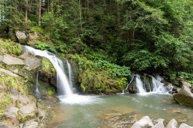 Ormandaki dağ şelalesi. Yeşil doğa. Ukrayna Karpatlar nehrinde Kamianka Gölü suyu