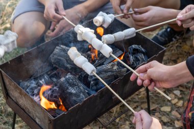 Kamp yaparken kamp ateşinde marşmelov kızartıyorum. Kamp alanındaki dostların elleri barbeküde. Kömürler tatlı kamp yemekleri