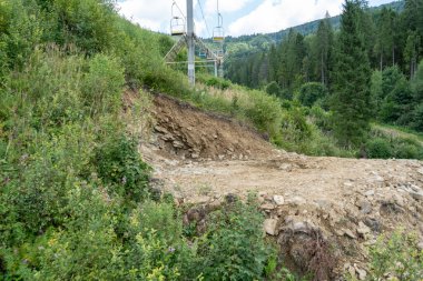 Ormandaki ağaçların devrilmesi sonucu toprak toprak kayması. Karpatlar, doğada teleferik..