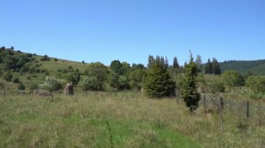 Trenle seyahat et. Doğa yeşili ağaçlar. Karpat Dağları 'nın dağlık bölgesindeki çayırlarda saman yığınları..