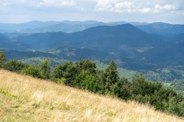 Dağlar Karpatlar 'a ait. Yaz günlerinde tepe ormanı ve çayır vadisi.