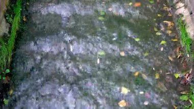 Nehir akıyor. Sonbahar yaprakları suda yüzer. Doğa