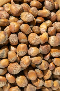 Fındıklı sağlıklı kase yemeği. Çekirdek tohumu. Fındık yığını.