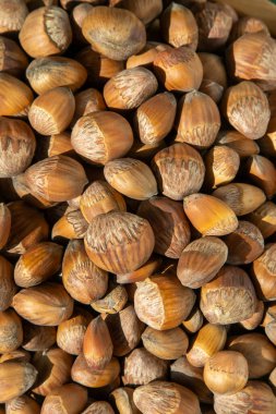 Fındık kabı yemeği. Çekirdek tohumu. Fındık yığını.