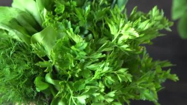 Yeşil soğan, ıspanak, maydanoz ve dereotu. Vitamin yiyeceği. Salata için sebze hazırlayın. Farklı yapraklar ayarla