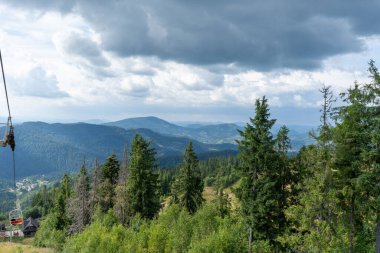 Dağlar Karpatlar 'a kadar uzanır. Tepeler, orman ve çayırlar. Yeşil vadi. Çam ağaçları