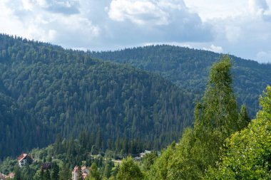 Dağlardaki Cableway Karpatlar 'da bulunur. Tepeler, orman ve çayırlar. Yeşil vadi. Çamlar üstten görünüyor