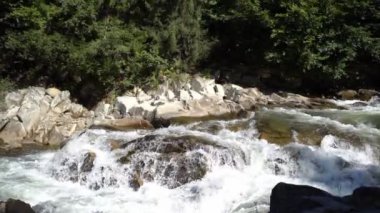 Dağ nehri. Taşların üzerinden akan su. Şelale. Doğa orman ağaçları.