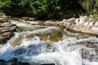 Dağ nehri. Taşların üzerinden akan su. Şelale akıntısı. Yaz