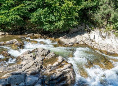 Dağ nehri. Taşların üzerinden akan su. Şelale akıntısı. Yeşil