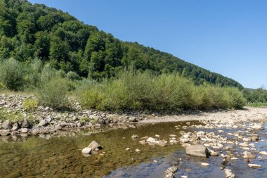 Dağ nehri. Taşların üzerinden akan su. Yeşil yaz orman doğası