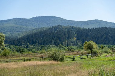 Çit çayırda. Dağlar Karpatlar 'a ait. Yazın Hill Ormanı Vadisi. Mavi gökyüzü. Doğa.