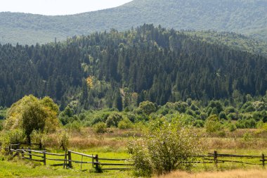 Çit çayırda. Dağlar Karpatlar 'a ait. Yazın Hill Ormanı ve Tarla Vadisi. Mavi gökyüzü. Doğa.