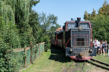 Carpathian tramvayı. Dar çaplı bir demiryolunda buharlı lokomotif. Eski Ukrayna, Vyhoda - 14 Ağustos 2024