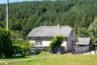 Ormandaki ev. Güneşli kırsal alan. Karpatya 'nın Ukrayna köyü