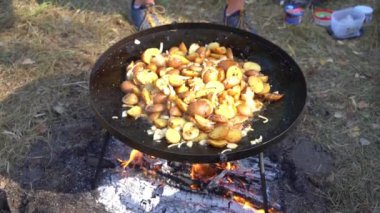 Kamp ateşinde yürüyüş yaparken yemek pişirmek. Kızarmış patates. Dışarıdaki yangında kızartma tavası. Doğada sokak yemekleri pişirir..