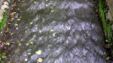 Nehir akıyor. Sonbahar yaprakları suda yüzer. Doğa sakinliği