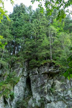 Yeşil ormandaki dağ kayası. Doğa manzarası. Taş ağaçlar