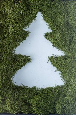 Arka planda Noel ağacı yeşil iğneleri var..