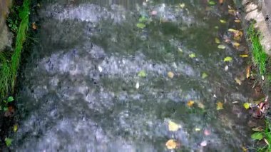 Nehir akıyor. Sonbahar yaprakları suda yüzer..