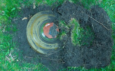 Yerdeki çimlerde yeşil tanksavar mayını var. Bomba TM-62