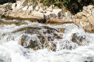 Dağ yaz nehri. Taşların üzerinden akan su. Şelaleler akıyor