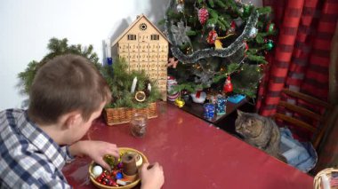 Ergen çocuk evde kedisiyle Noel süslerine bakıyor. Köknar dalları, koniler ve Noel ağacı toplarından el sanatları yapıyorlar..