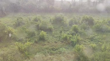 Yukarıdan yağmur yağıyor. Güneşli bir yaz gününde yeşil ağaçların üzerine düşer. Pencere camına damlatıyor