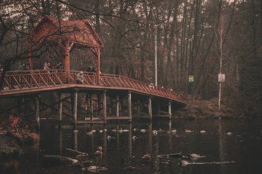 Sonbaharda Gölün Üzerindeki Tahta Köprü. Doğa ağaçları arka planda