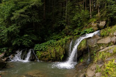 Orman doğasında dağ şelalesi. Göl suyu nehri koyu yeşil ağaçlar