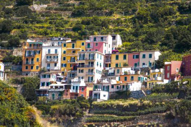 Uçurumun kenarındaki çok renkli evler. Manarola İtalyan köyü Cinque Terre, Liguria, İtalya. Yaz yolculuğu doğası