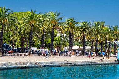 İtalya 'nın La Spezia kentinin rıhtımındaki palmiye ağaçları. İtalya gezintisi