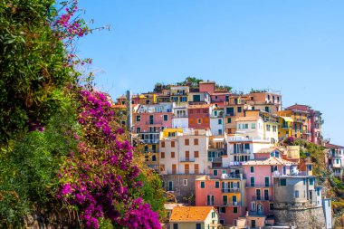 Uçurumun kenarındaki çok renkli evler. Manarola İtalyan köyü Cinque Terre, Liguria, İtalya. Yaz doğası.