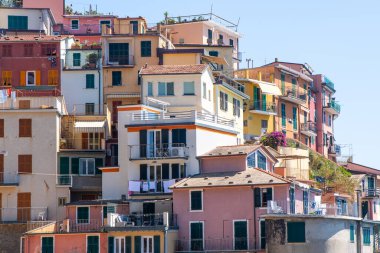 Renkli binalar. Manarola İtalyan köyü Cinque Terre, Liguria, İtalya parlak arka plan