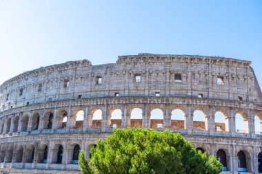 Kolezyum Roma İtalya mimarisi. Yazın kolezyum binası. Mavi gökyüzü kopyalama alanı
