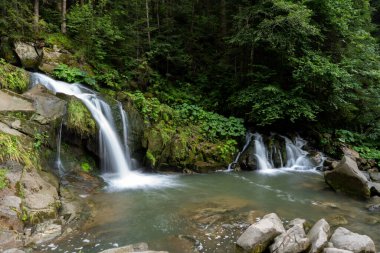 Ormandaki dağ şelalesi. Yeşil doğa yaprakları. Göl suyu Karpatlar Nehri.