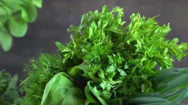 Yeşil soğan, ıspanak, maydanoz ve dereotu. Vitamin yiyeceği. Salata için sebze hazırlayın. Farklı yapraklar ayarla