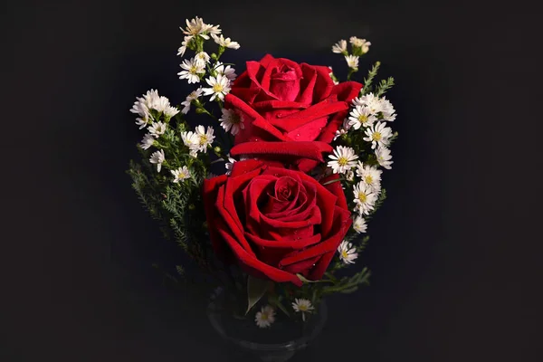 Nahaufnahme Schöner Rosen Auf Dunklem Hintergrund — Stockfoto