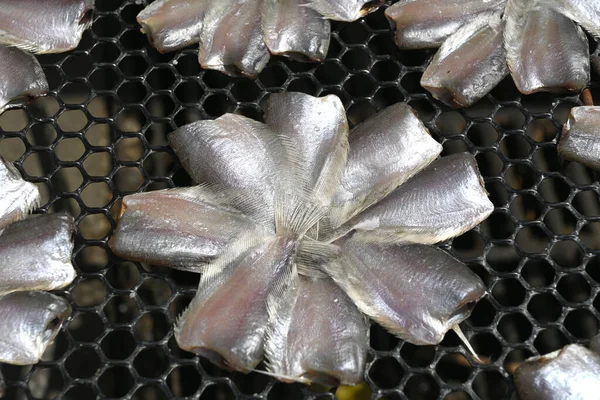 Gedroogde Vissen Een Pannier Thailand — Stockfoto