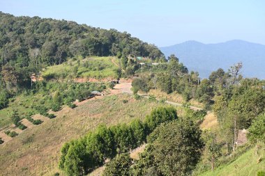 Tayland 'daki Dağların Muhteşem Manzaraları Yolları ve Ormanı
